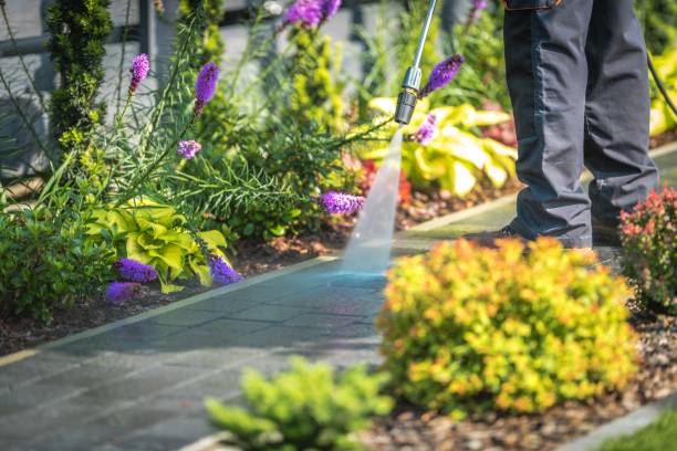 Best Parking Lot and Garage Cleaning  in Boyd, TX