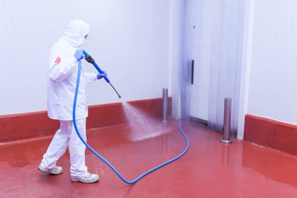 Best Pre-Holiday Cleaning  in Boyd, TX