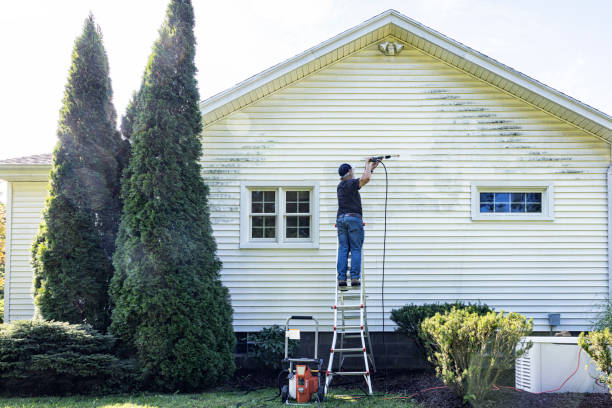 Best Gutter Cleaning  in Boyd, TX