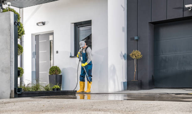 Best Solar Panel Cleaning  in Boyd, TX